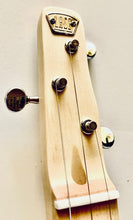 Load image into Gallery viewer, Electric Cigar Box Guitar Gone Fishing 3 String